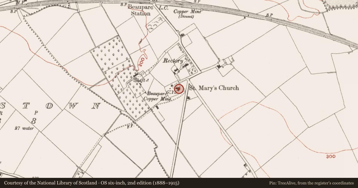Ordnance Survey six-inch map, 2nd edition (1888–1915) covering the location of Font, Painestown (Duleek Lower By., Painestown Par.), County Meath, with a pin at the register's coordinates