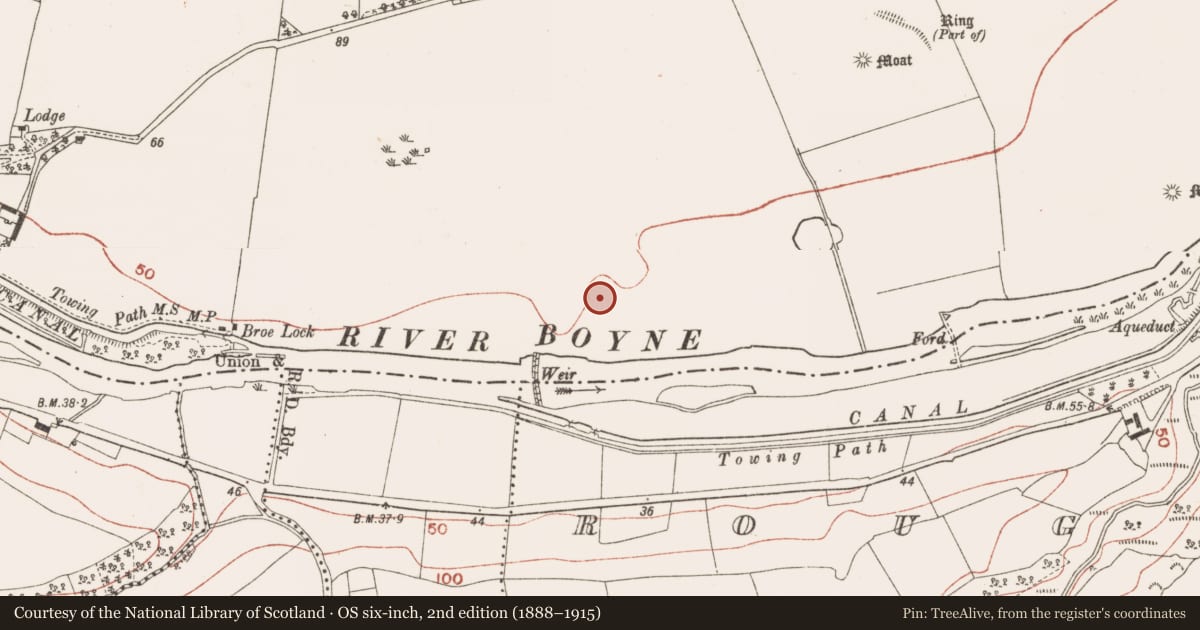 Ordnance Survey six-inch map, 2nd edition (1888–1915) covering the location of Embanked enclosure, Newgrange, County Meath, with a pin at the register's coordinates