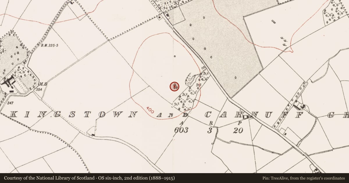 Ordnance Survey six-inch map, 2nd edition (1888–1915) covering the location of Cairn - unclassified, Kingstown And Carnuff Great, County Meath, with a pin at the register's coordinates