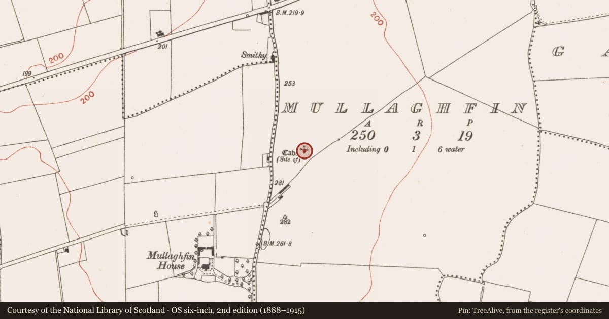 Ordnance Survey six-inch map, 2nd edition (1888–1915) covering the location of Souterrain, Mullaghfin, County Meath, with a pin at the register's coordinates