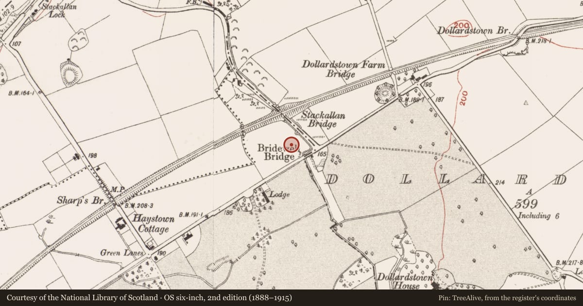 Ordnance Survey six-inch map, 2nd edition (1888–1915) covering the location of Burial, Haystown And Carnuff Little, County Meath, with a pin at the register's coordinates