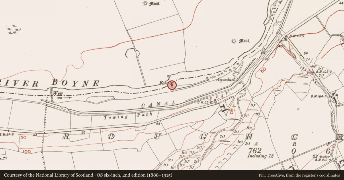 Ordnance Survey six-inch map, 2nd edition (1888–1915) covering the location of Ford, Roughgrange, Newgrange, County Meath, with a pin at the register's coordinates