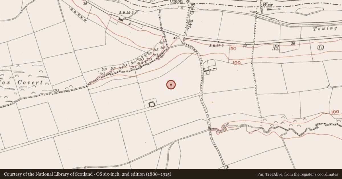 Ordnance Survey six-inch map, 2nd edition (1888–1915) covering the location of Ringfort - rath, Gilltown, County Meath, with a pin at the register's coordinates