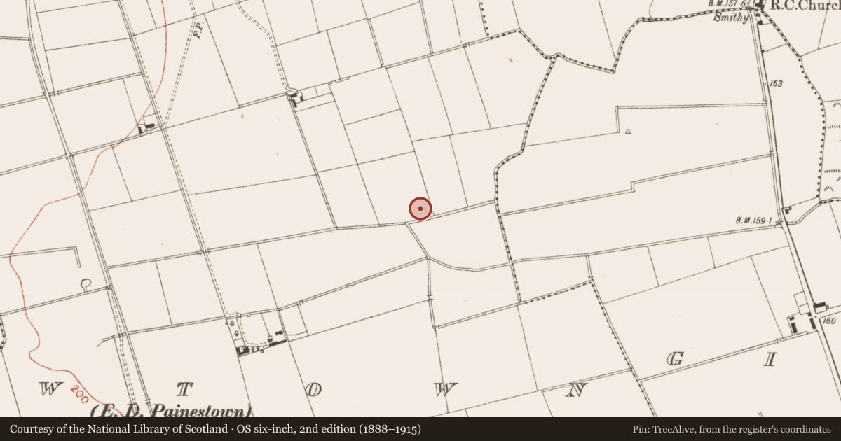 Ordnance Survey six-inch map, 2nd edition (1888–1915) covering the location of Prehistoric site - lithic scatter, Newtown, County Meath, with a pin at the register's coordinates