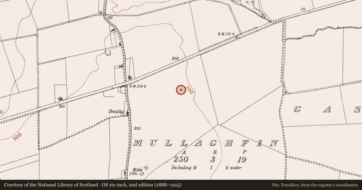 Ordnance Survey six-inch map, 2nd edition (1888–1915) covering the location of Enclosure, Mullaghfin, County Meath, with a pin at the register's coordinates
