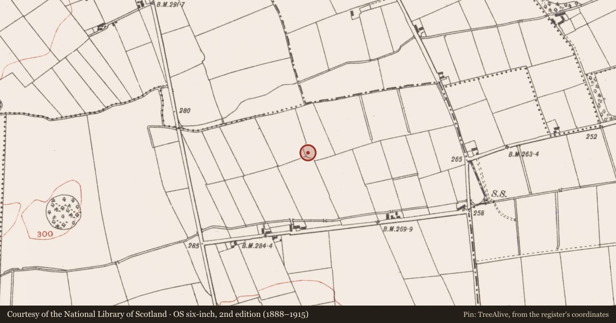 Ordnance Survey six-inch map, 2nd edition (1888–1915) covering the location of Ringfort - unclassified, Realtoge, County Meath, with a pin at the register's coordinates