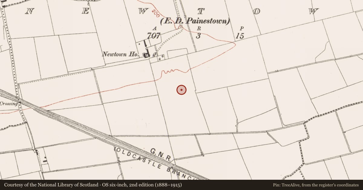 Ordnance Survey six-inch map, 2nd edition (1888–1915) covering the location of Earthwork, Newtown, County Meath, with a pin at the register's coordinates