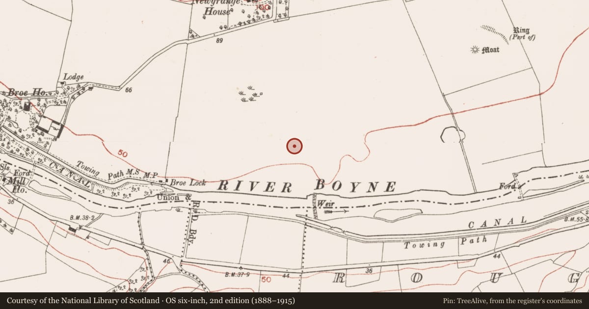 Ordnance Survey six-inch map, 2nd edition (1888–1915) covering the location of Ringfort - rath, Newgrange, County Meath, with a pin at the register's coordinates