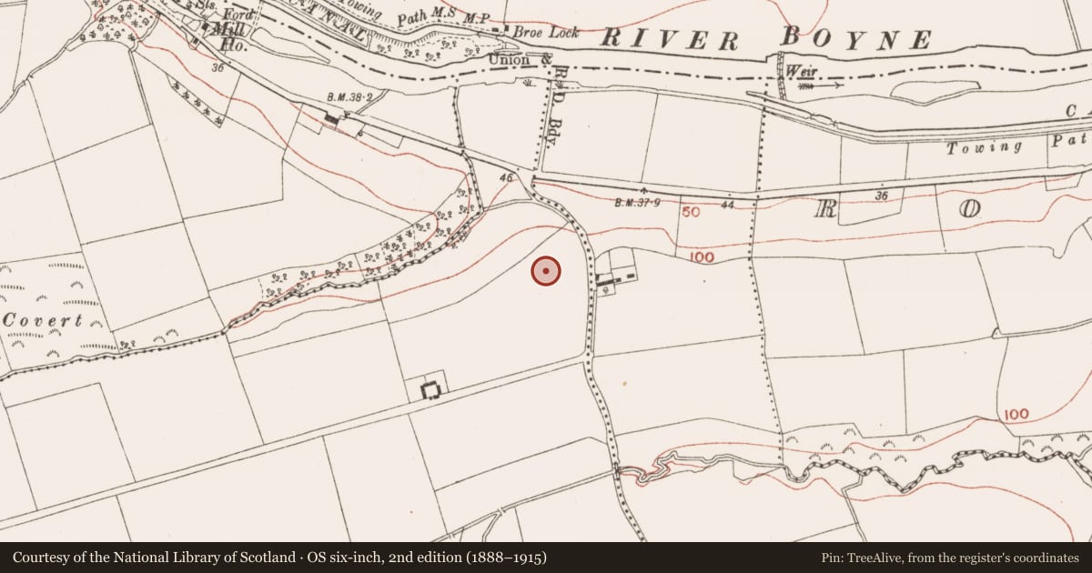 Ordnance Survey six-inch map, 2nd edition (1888–1915) covering the location of Enclosure, Gilltown, County Meath, with a pin at the register's coordinates