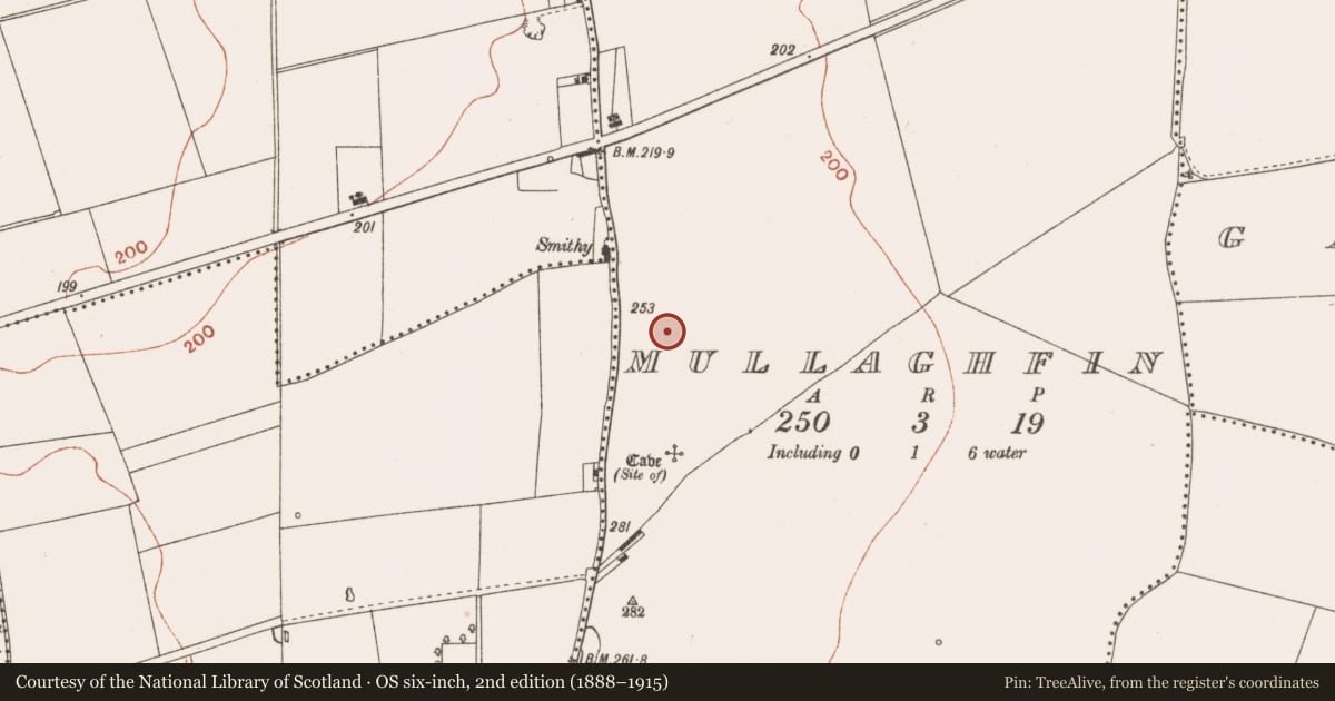 Ordnance Survey six-inch map, 2nd edition (1888–1915) covering the location of Field system, Mullaghfin, County Meath, with a pin at the register's coordinates