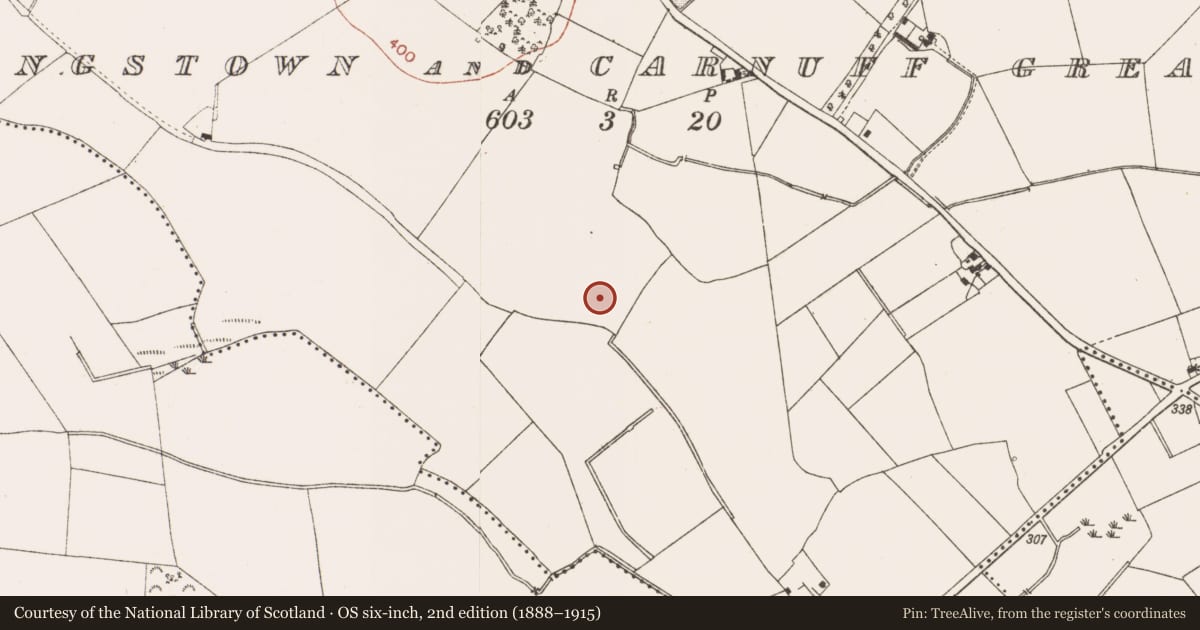 Ordnance Survey six-inch map, 2nd edition (1888–1915) covering the location of Enclosure, Kingstown And Carnuff Great, County Meath, with a pin at the register's coordinates