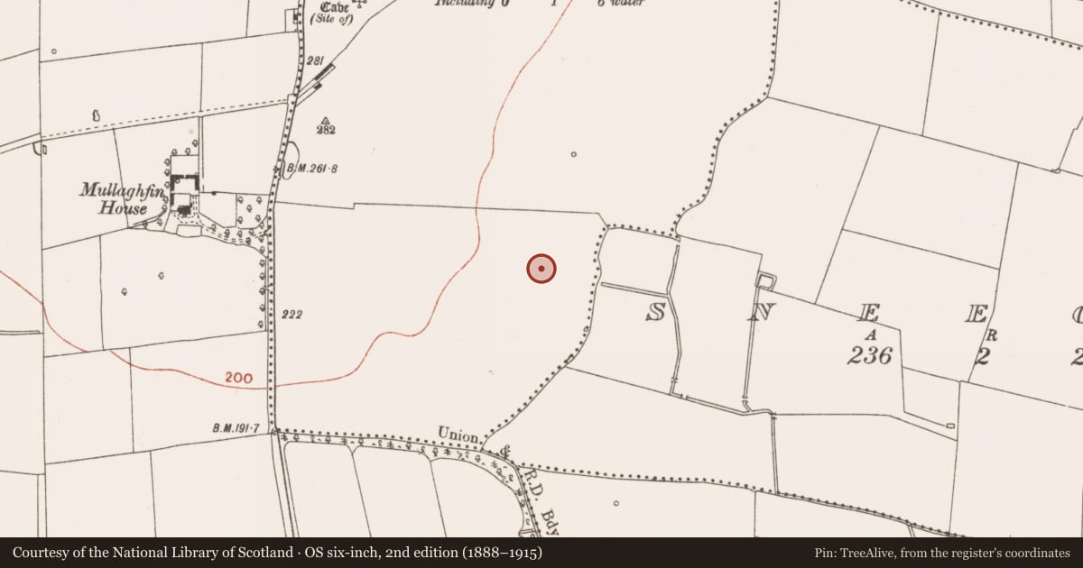 Ordnance Survey six-inch map, 2nd edition (1888–1915) covering the location of Ring-ditch, Mullaghfin, County Meath, with a pin at the register's coordinates