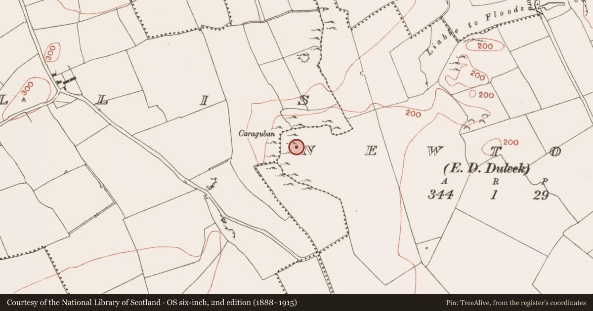 Ordnance Survey six-inch map, 2nd edition (1888–1915) covering the location of Enclosure, Newtown, County Meath, with a pin at the register's coordinates