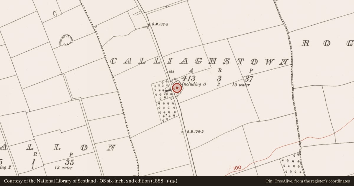 Ordnance Survey six-inch map, 2nd edition (1888–1915) covering the location of Barrow - unclassified, Calliaghstown, County Meath, with a pin at the register's coordinates