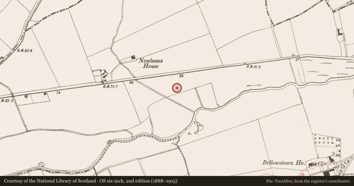 Ordnance Survey six-inch map, 2nd edition (1888–1915) covering the location of Souterrain, Bellewstown, County Meath, with a pin at the register's coordinates
