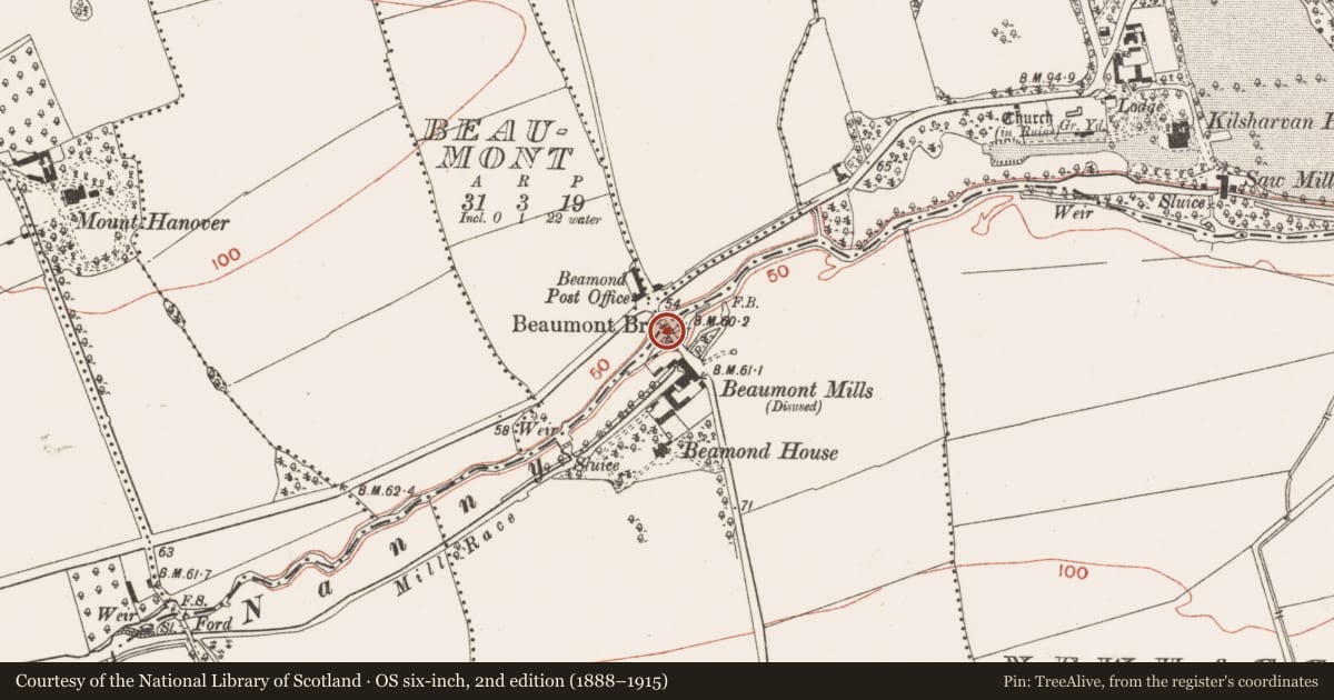 Ordnance Survey six-inch map, 2nd edition (1888–1915) covering the location of Bridge, County Meath, with a pin at the register's coordinates