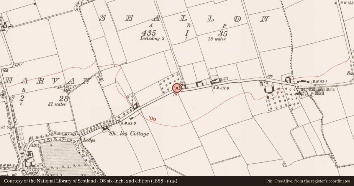 Ordnance Survey six-inch map, 2nd edition (1888–1915) covering the location of Cross - Wayside cross, Shallon, County Meath, with a pin at the register's coordinates