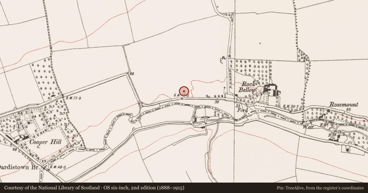 Ordnance Survey six-inch map, 2nd edition (1888–1915) covering the location of Ringfort - rath, Rogerstown, County Meath, with a pin at the register's coordinates