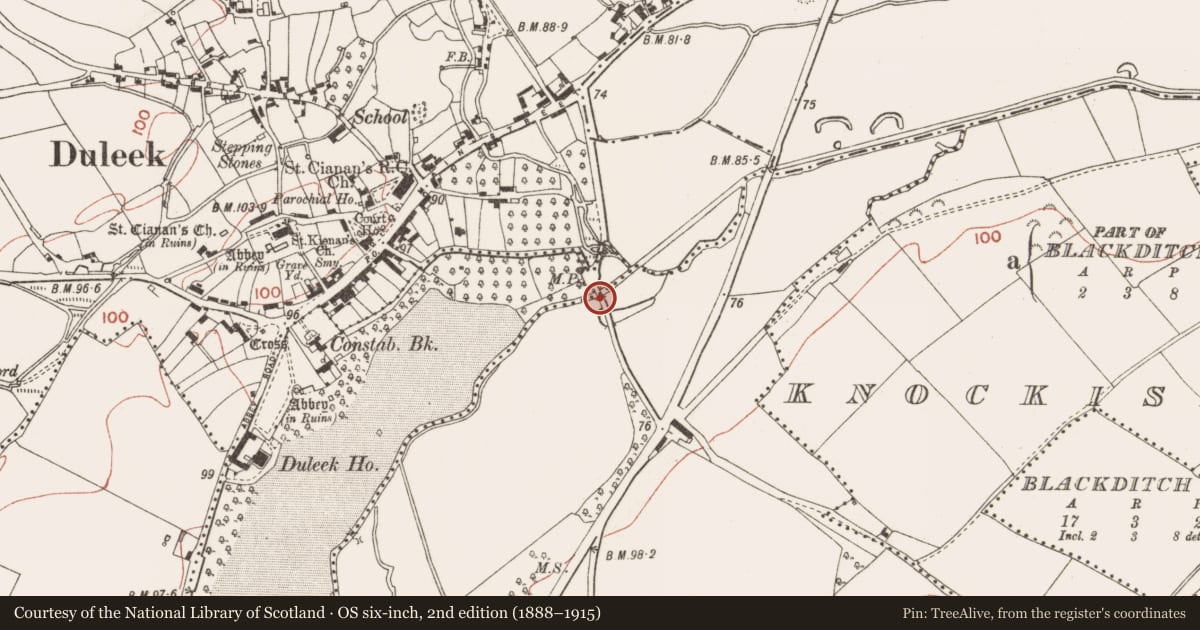 Ordnance Survey six-inch map, 2nd edition (1888–1915) covering the location of Bridge, Abbeyland, Prioryland, County Meath, with a pin at the register's coordinates