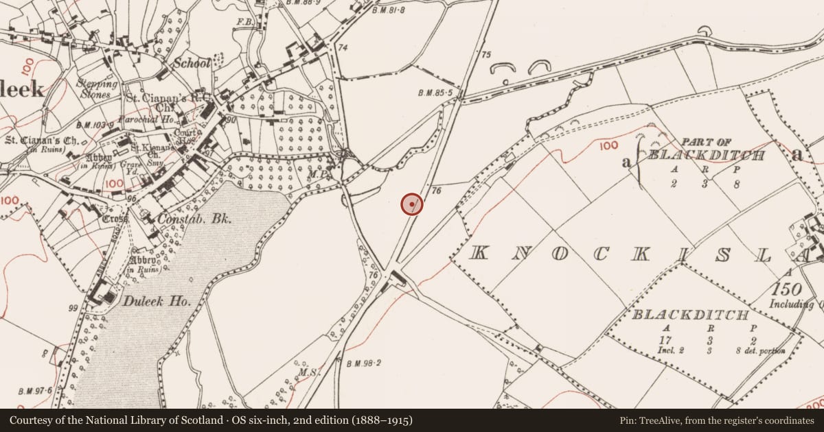 Ordnance Survey six-inch map, 2nd edition (1888–1915) covering the location of Enclosure, Prioryland, County Meath, with a pin at the register's coordinates