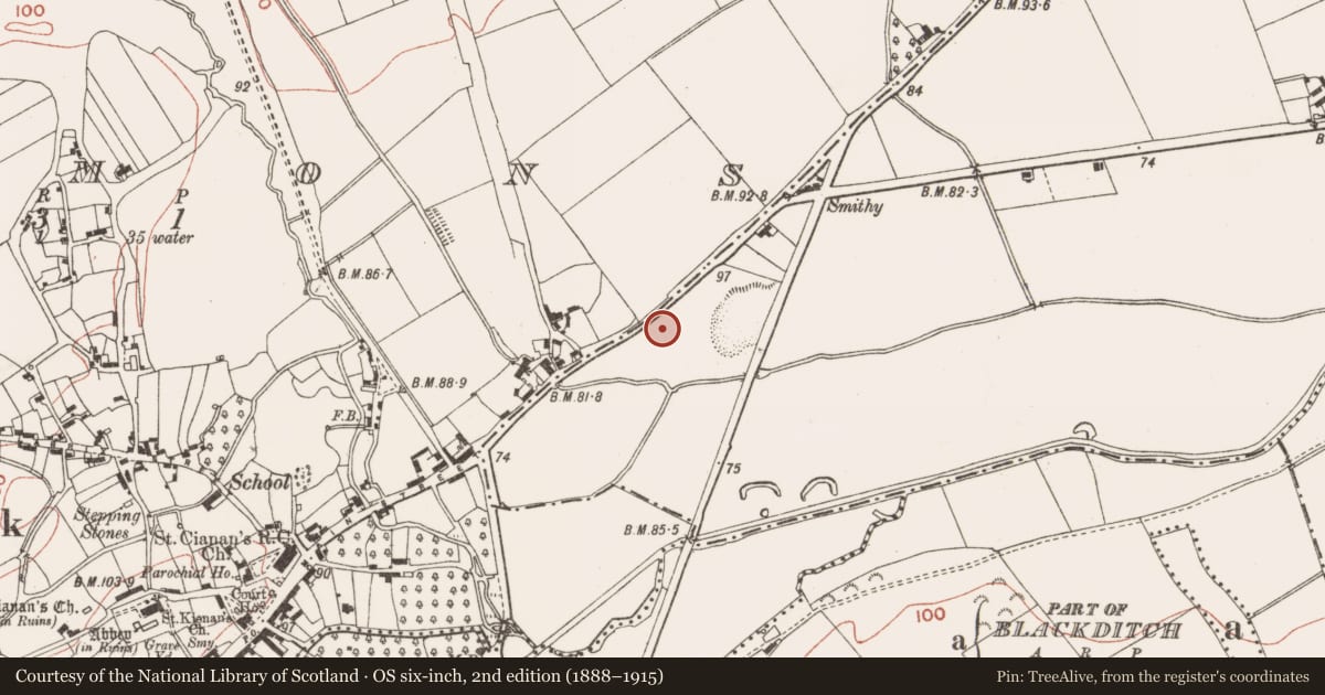 Ordnance Survey six-inch map, 2nd edition (1888–1915) covering the location of Cross - Wayside cross (present location), Commons, County Meath, with a pin at the register's coordinates