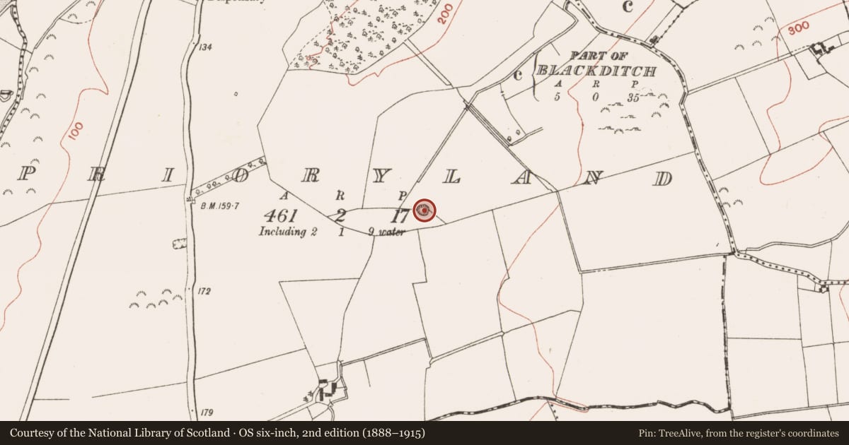 Ordnance Survey six-inch map, 2nd edition (1888–1915) covering the location of Enclosure, Prioryland, County Meath, with a pin at the register's coordinates