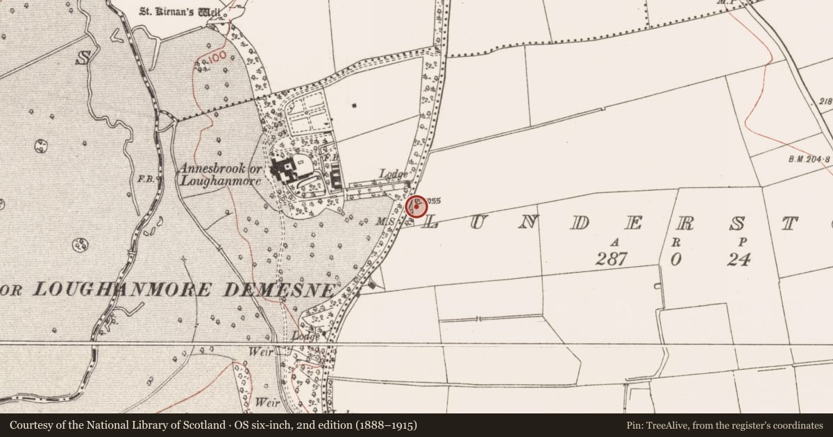 Ordnance Survey six-inch map, 2nd edition (1888–1915) covering the location of Cross - Wayside cross, Lunderstown, County Meath, with a pin at the register's coordinates