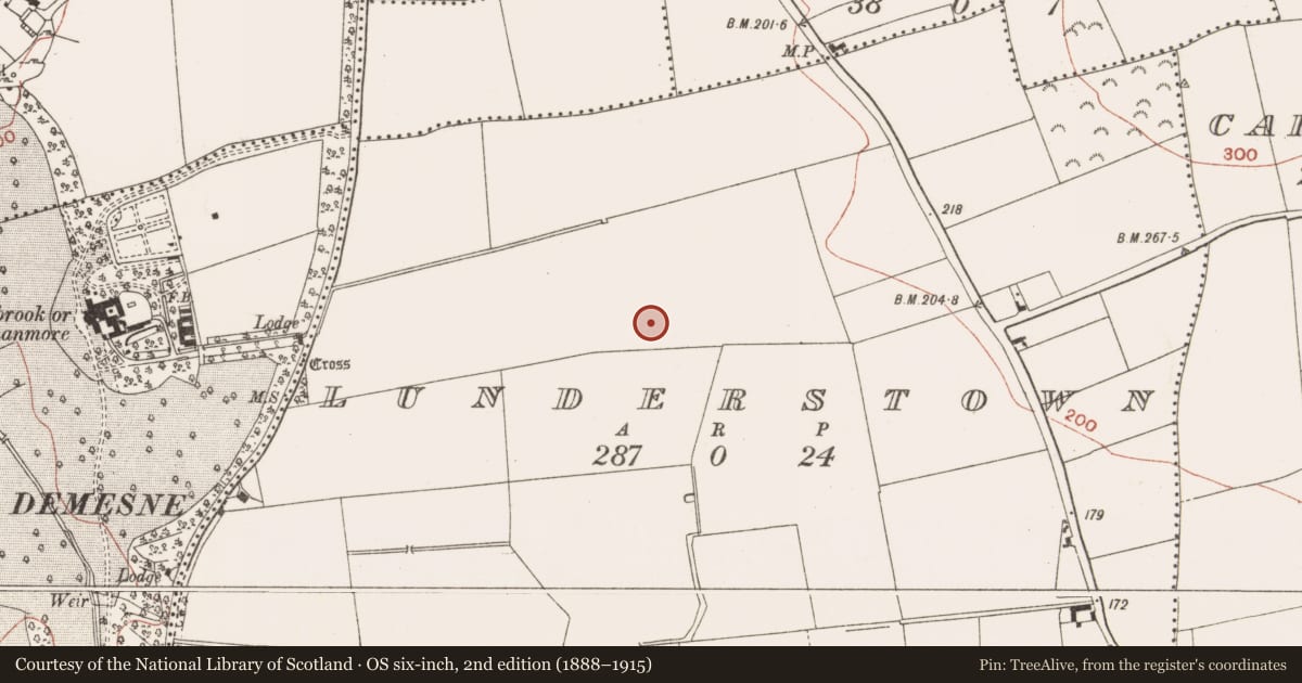 Ordnance Survey six-inch map, 2nd edition (1888–1915) covering the location of Enclosure, Lunderstown, County Meath, with a pin at the register's coordinates