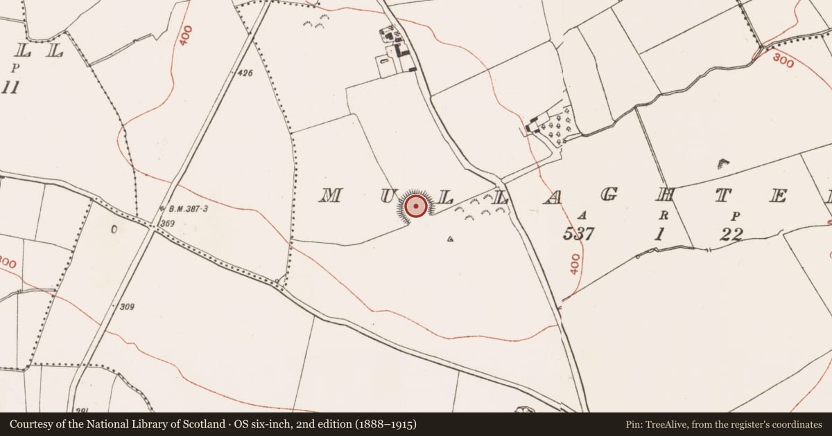 Ordnance Survey six-inch map, 2nd edition (1888–1915) covering the location of Barrow - unclassified, Mullaghteelin, County Meath, with a pin at the register's coordinates