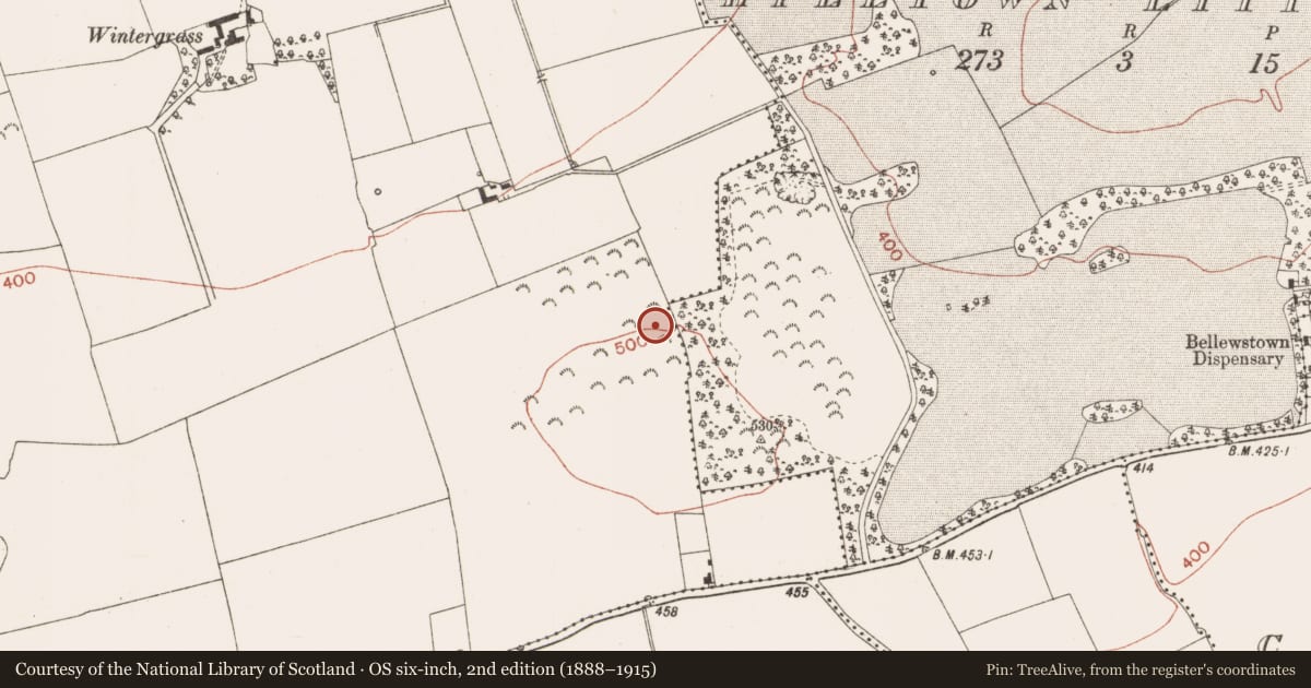 Ordnance Survey six-inch map, 2nd edition (1888–1915) covering the location of Barrow - unclassified, Bellewstown, County Meath, with a pin at the register's coordinates