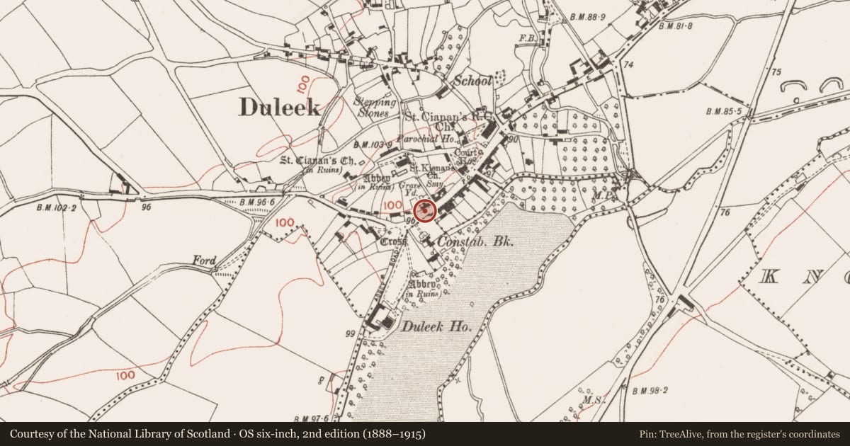 Ordnance Survey six-inch map, 2nd edition (1888–1915) covering the location of Historic town, County Meath, with a pin at the register's coordinates