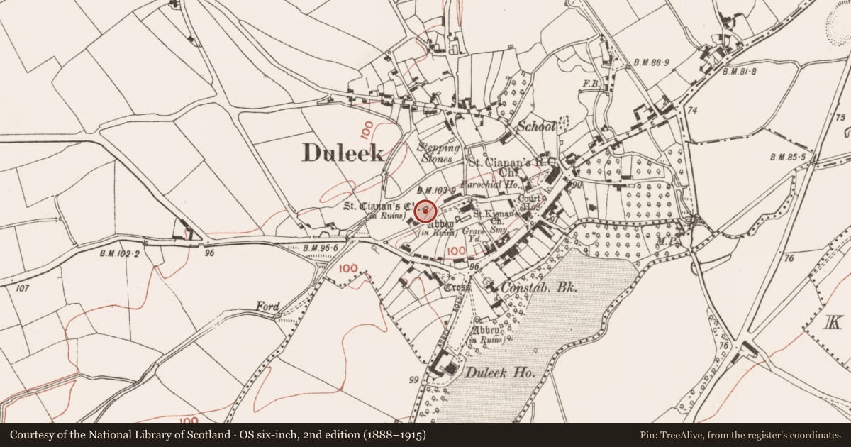 Ordnance Survey six-inch map, 2nd edition (1888–1915) covering the location of Inscribed slab, Commons, County Meath, with a pin at the register's coordinates