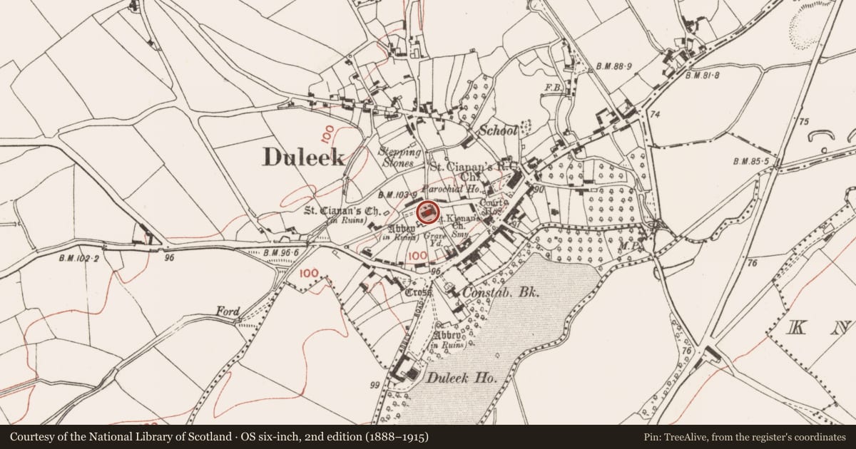 Ordnance Survey six-inch map, 2nd edition (1888–1915) covering the location of Cross - High cross, Commons, County Meath, with a pin at the register's coordinates