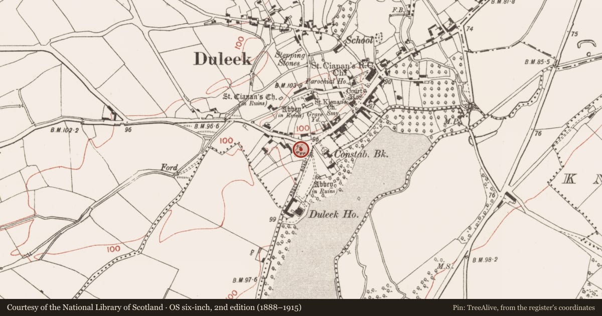 Ordnance Survey six-inch map, 2nd edition (1888–1915) covering the location of Cross - Wayside cross, Commons, County Meath, with a pin at the register's coordinates