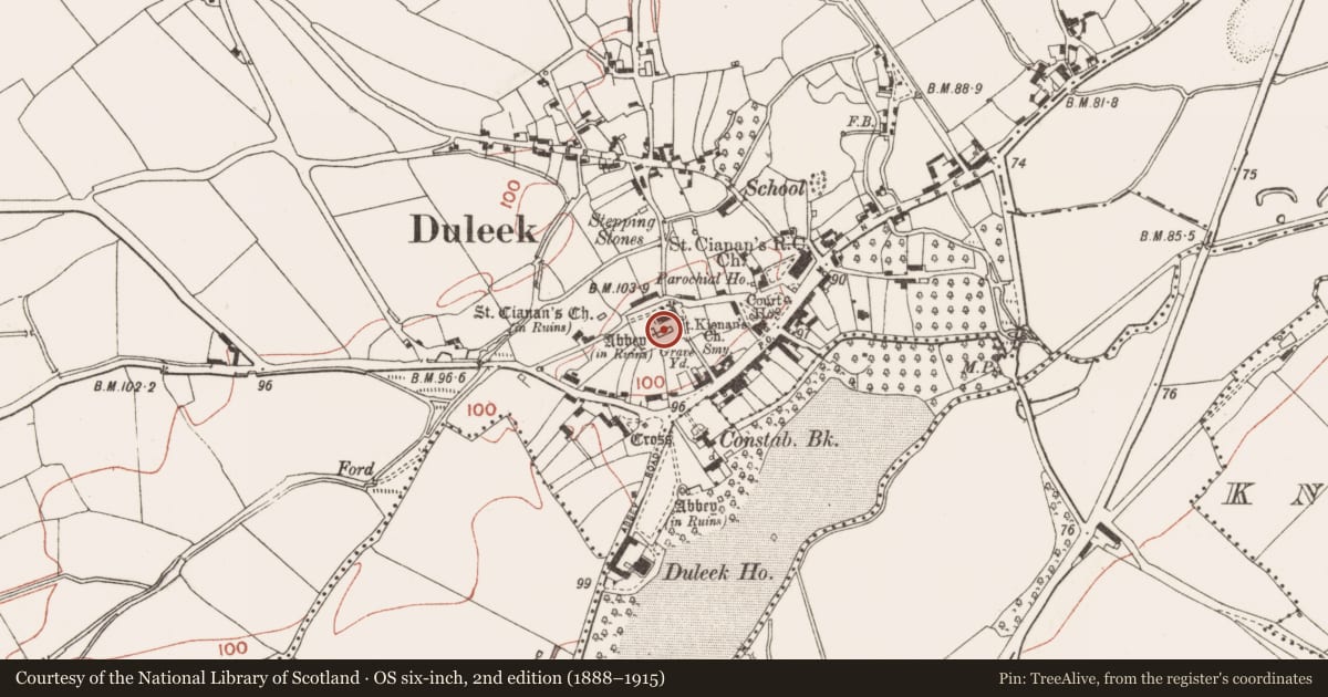 Ordnance Survey six-inch map, 2nd edition (1888–1915) covering the location of Church, Commons, County Meath, with a pin at the register's coordinates
