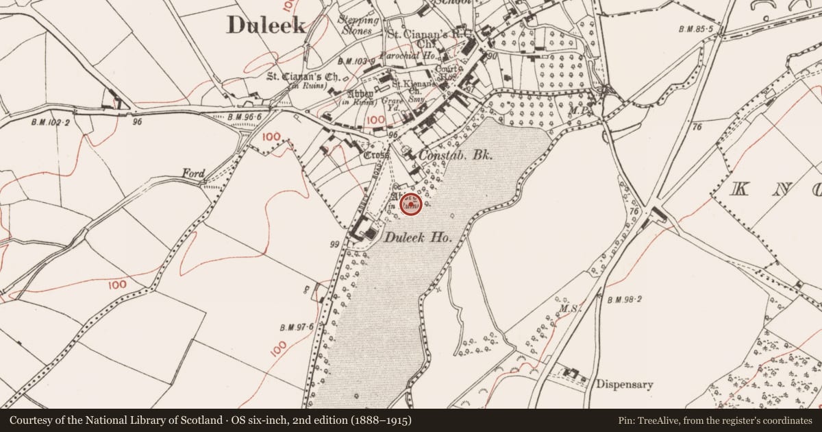 Ordnance Survey six-inch map, 2nd edition (1888–1915) covering the location of Field system, Abbeyland, County Meath, with a pin at the register's coordinates