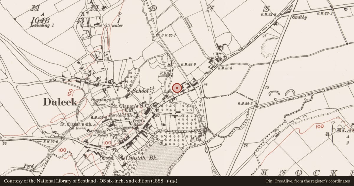 Ordnance Survey six-inch map, 2nd edition (1888–1915) covering the location of Castle - motte, Commons, County Meath, with a pin at the register's coordinates
