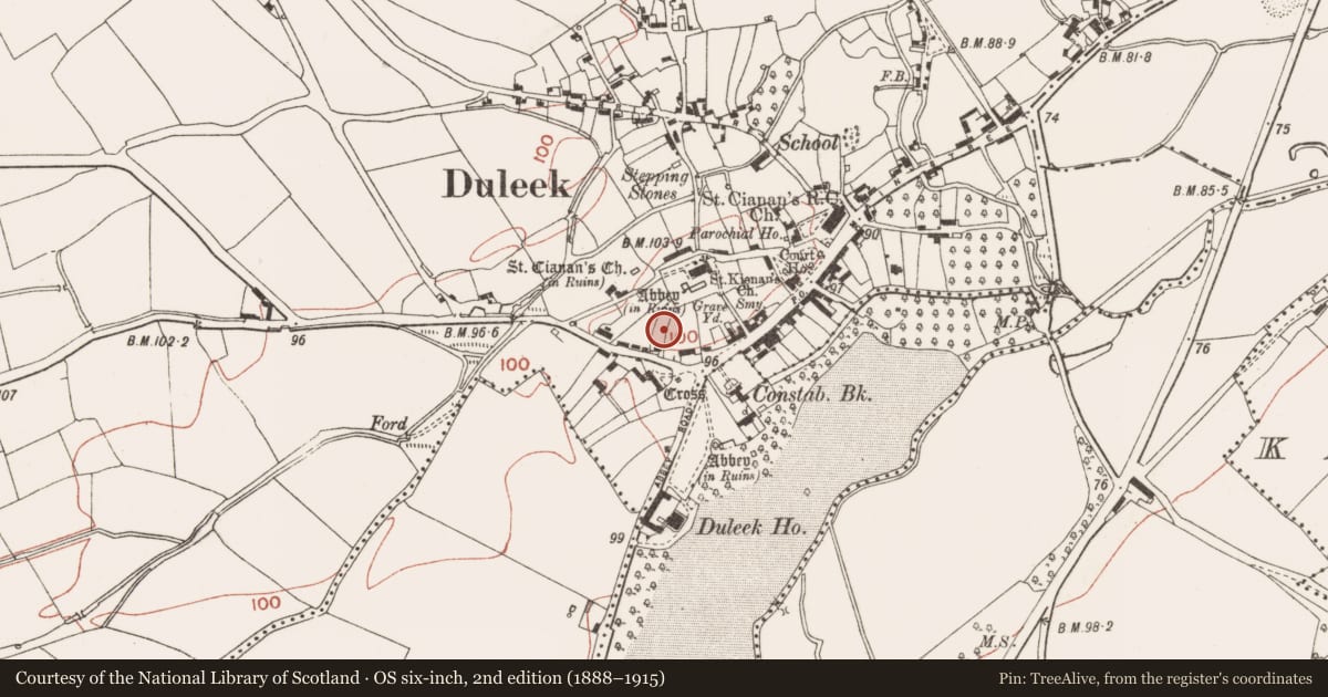 Ordnance Survey six-inch map, 2nd edition (1888–1915) covering the location of Souterrain, Commons, County Meath, with a pin at the register's coordinates