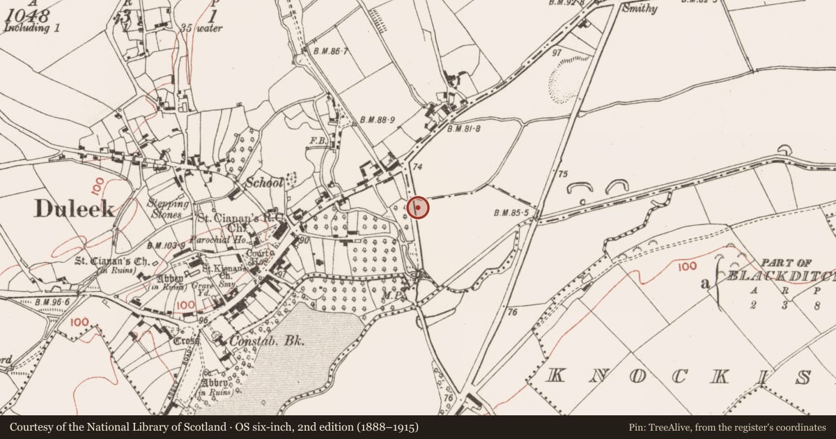 Ordnance Survey six-inch map, 2nd edition (1888–1915) covering the location of Building, Commons, County Meath, with a pin at the register's coordinates