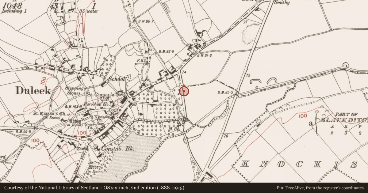 Ordnance Survey six-inch map, 2nd edition (1888–1915) covering the location of Hut site, Commons, County Meath, with a pin at the register's coordinates