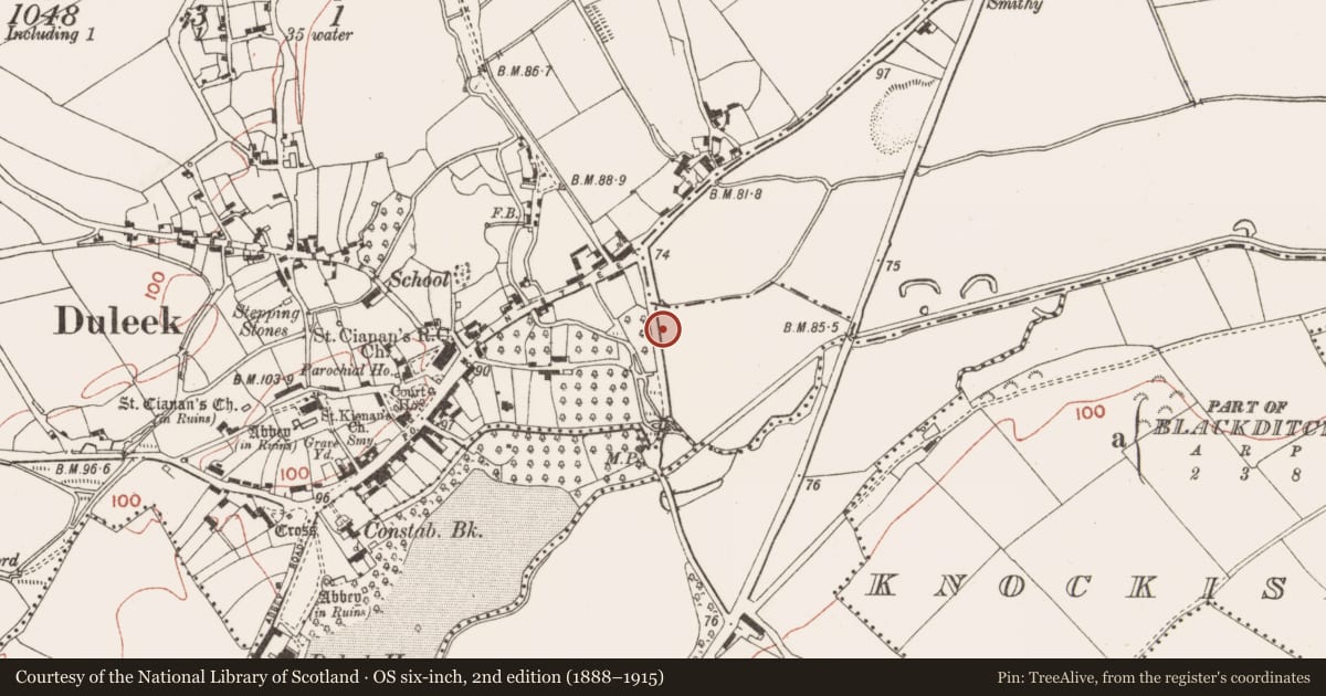 Ordnance Survey six-inch map, 2nd edition (1888–1915) covering the location of Excavation - miscellaneous, Commons, County Meath, with a pin at the register's coordinates