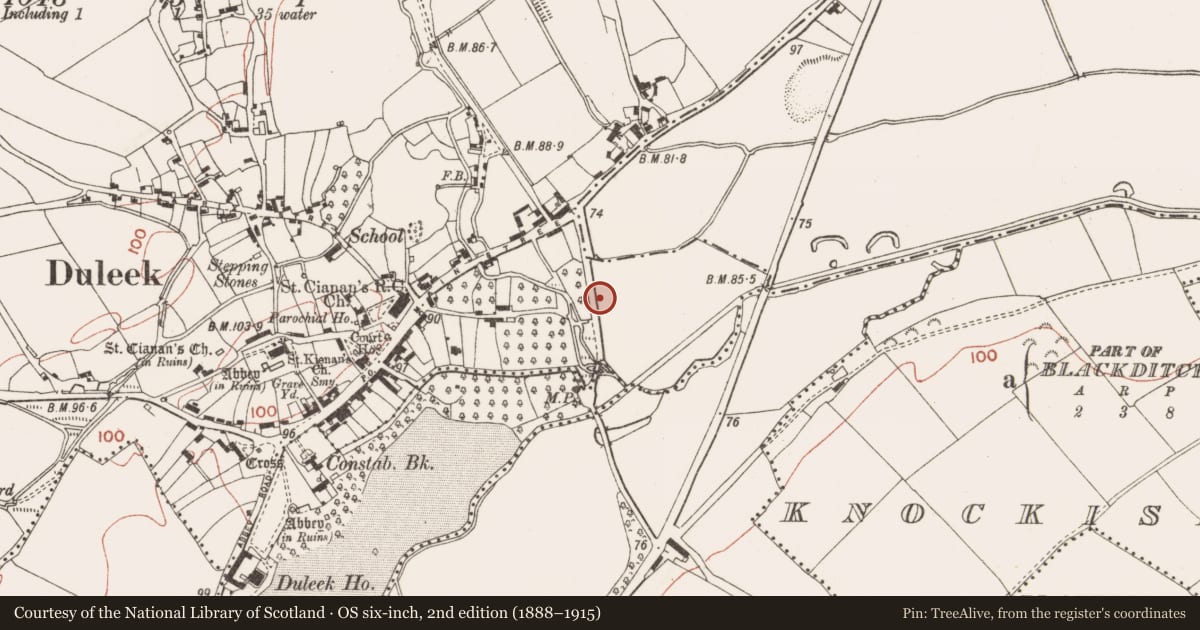 Ordnance Survey six-inch map, 2nd edition (1888–1915) covering the location of Excavation - miscellaneous, Commons, County Meath, with a pin at the register's coordinates