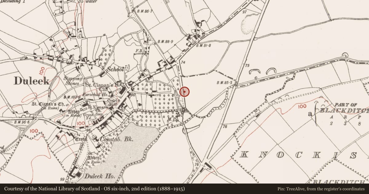 Ordnance Survey six-inch map, 2nd edition (1888–1915) covering the location of Metalworking site, Commons, County Meath, with a pin at the register's coordinates