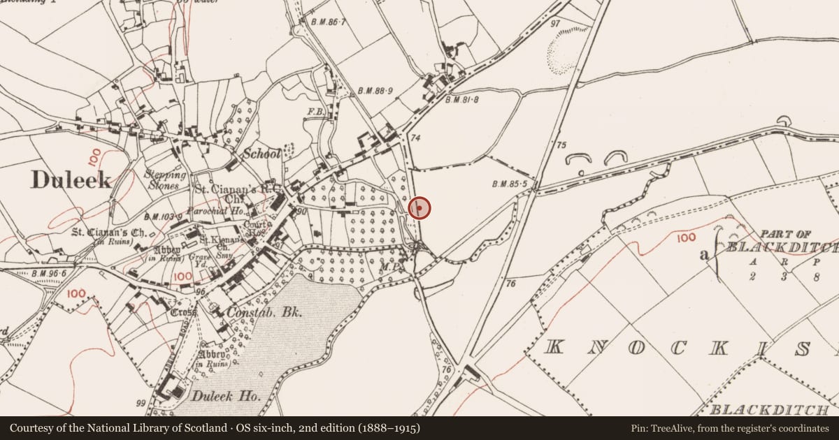 Ordnance Survey six-inch map, 2nd edition (1888–1915) covering the location of Hut site, Commons, County Meath, with a pin at the register's coordinates