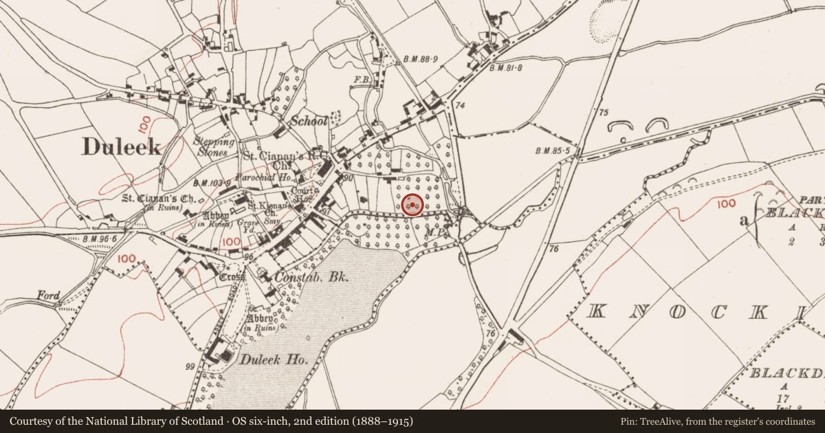 Ordnance Survey six-inch map, 2nd edition (1888–1915) covering the location of Burial ground, Commons, County Meath, with a pin at the register's coordinates