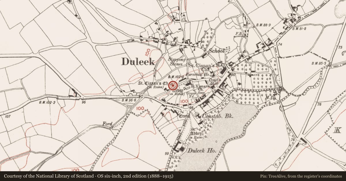 Ordnance Survey six-inch map, 2nd edition (1888–1915) covering the location of Graveyard, Commons, County Meath, with a pin at the register's coordinates