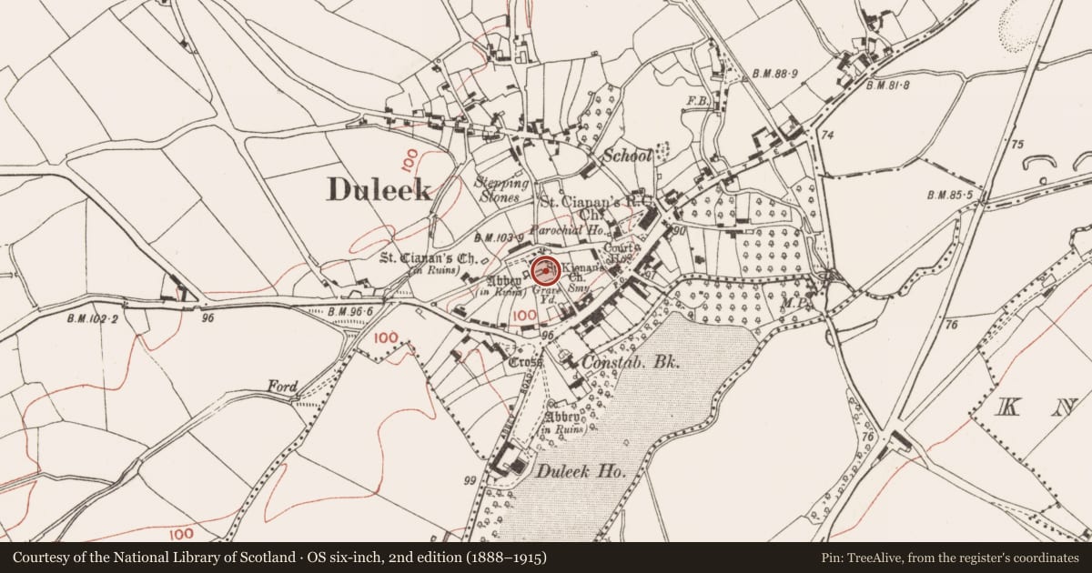 Ordnance Survey six-inch map, 2nd edition (1888–1915) covering the location of Graveyard, Commons, County Meath, with a pin at the register's coordinates