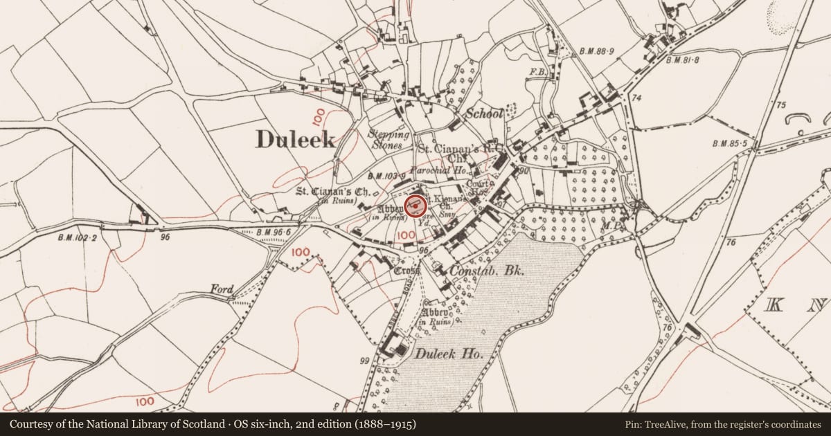 Ordnance Survey six-inch map, 2nd edition (1888–1915) covering the location of Graveslab, Commons, County Meath, with a pin at the register's coordinates