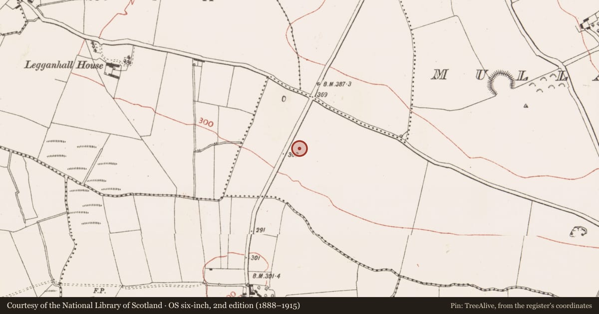Ordnance Survey six-inch map, 2nd edition (1888–1915) covering the location of Fulacht fia, Mullaghteelin, County Meath, with a pin at the register's coordinates