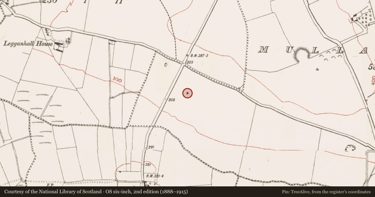 Ordnance Survey six-inch map, 2nd edition (1888–1915) covering the location of Fulacht fia, Mullaghteelin, County Meath, with a pin at the register's coordinates